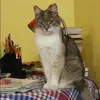 Отзыв от Лада Крючкова